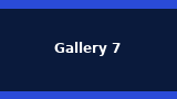 Gallery 7